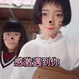 人爱c视频正国产,揭秘正国现象背后的文化魅力